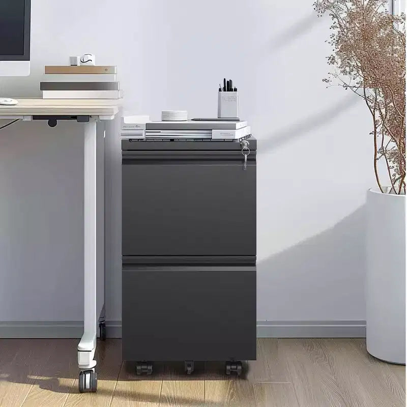 2 Drawer Filing Cabinet with Lock, Metal Mobile File Cabinet, Vertical File Cabinet, Modern Storage Cabinet , Pre-Assembled Except Wheels Black