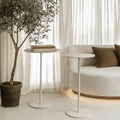 Limberg Cream Metal Side Tables- Set of 2